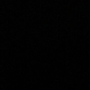 Meet your Posher, Leela krishna